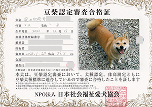 �ꌢ_����_��