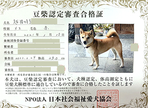 �ꌢ_����_��