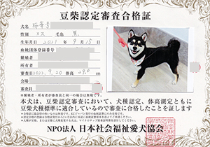 �ꌢ_����_��