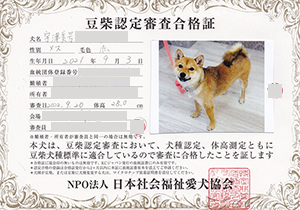 �ꌢ_����_��