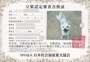 �ꌢ_����_��_�W��