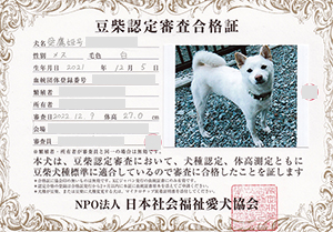 �ꌢ_����_��_�W��