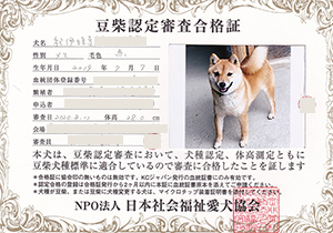 �ꌢ_����_��