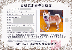 �ꌢ_����_��