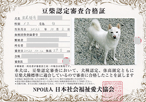 �ꌢ_����_��_�W��