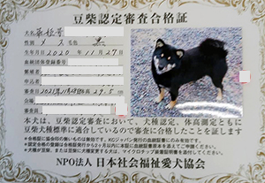 �ꌢ_����_��