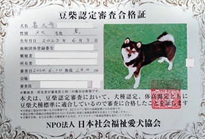 �ꌢ_����_��