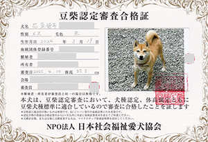 �ꌢ_����_��