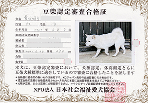 �ꌢ_����_��_�W��