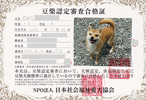 �ꌢ_����_��