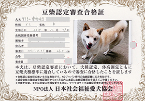 �ꌢ_����_��_�W��