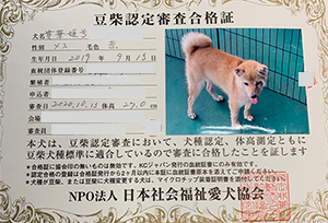 �ꌢ_����_��