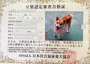 �ꌢ_����_��