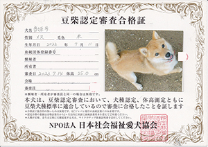 �ꌢ_����_��