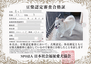 �ꌢ_����_��_�W��