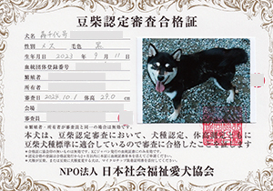 �ꌢ_����_��