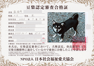 �ꌢ_����_��