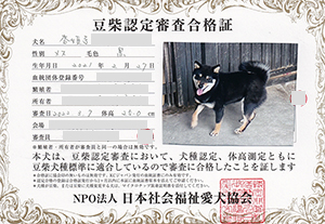 �ꌢ_����_��