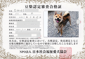 �ꌢ_����_��