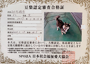 �ꌢ_����_��