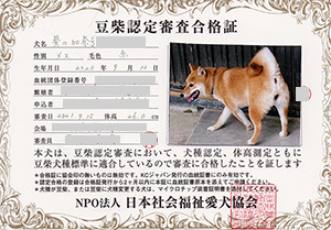 �ꌢ_����_��