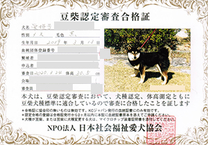 �ꌢ_����_��