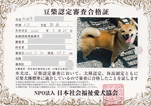 �ꌢ_����_��