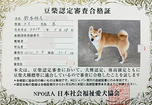 �ꌢ_����_��