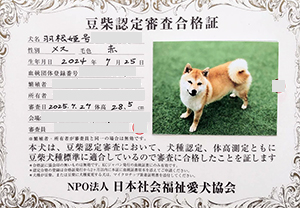 �ꌢ_����_��