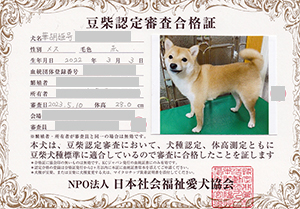 �ꌢ_����_��