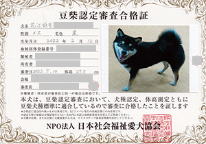 �ꌢ_����_��