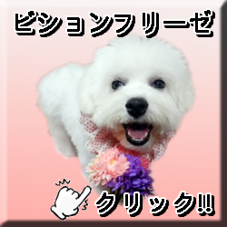 �ꌢ�r�V����