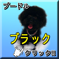 �ꌢ�u���b�N