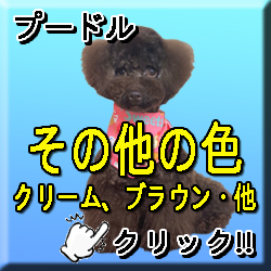 �ꌢ���̑�