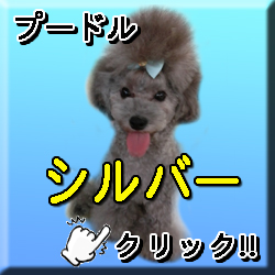 �ꌢ�V���o�[