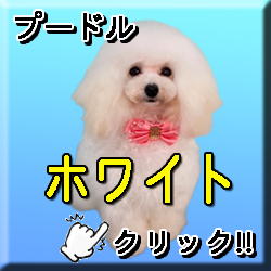 �ꌢ�z���C�g