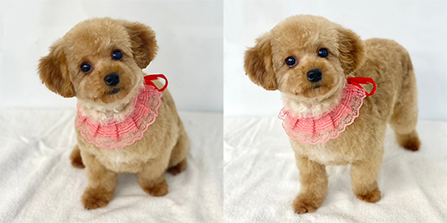 �ꌢ�A�v���R�b�g