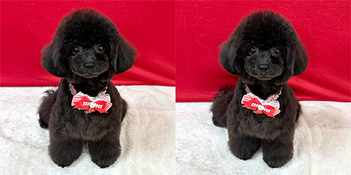 �ꌢTP_�u���b�N