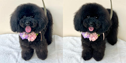 �ꌢTP_�u���b�N