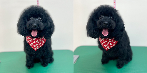 �ꌢTP_�u���b�N