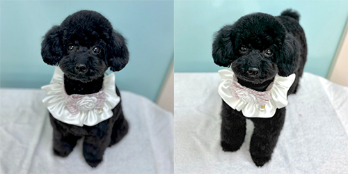 �ꌢTP_�u���b�N