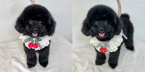 �ꌢTP_�u���b�N