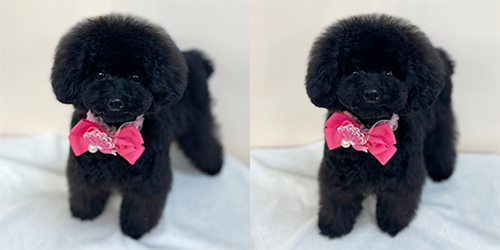 �ꌢTP_�u���b�N