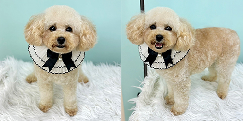 �ꌢTP_�N���[��