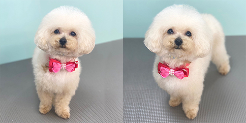 �ꌢTP_�N���[��