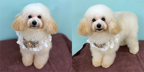 �ꌢTP_�N���[��