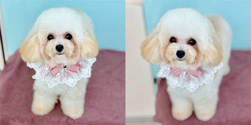 �ꌢTP_�N���[��