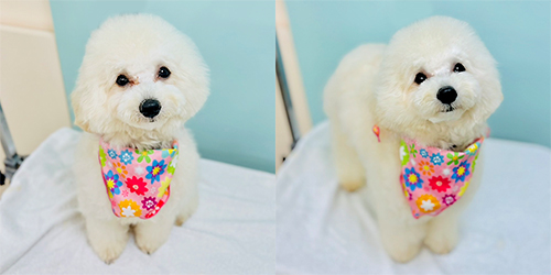 �ꌢTP_�z���C�g