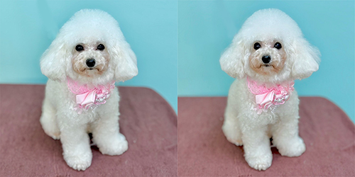 �ꌢTP_�z���C�g