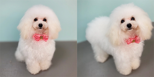 �ꌢTP_�z���C�g